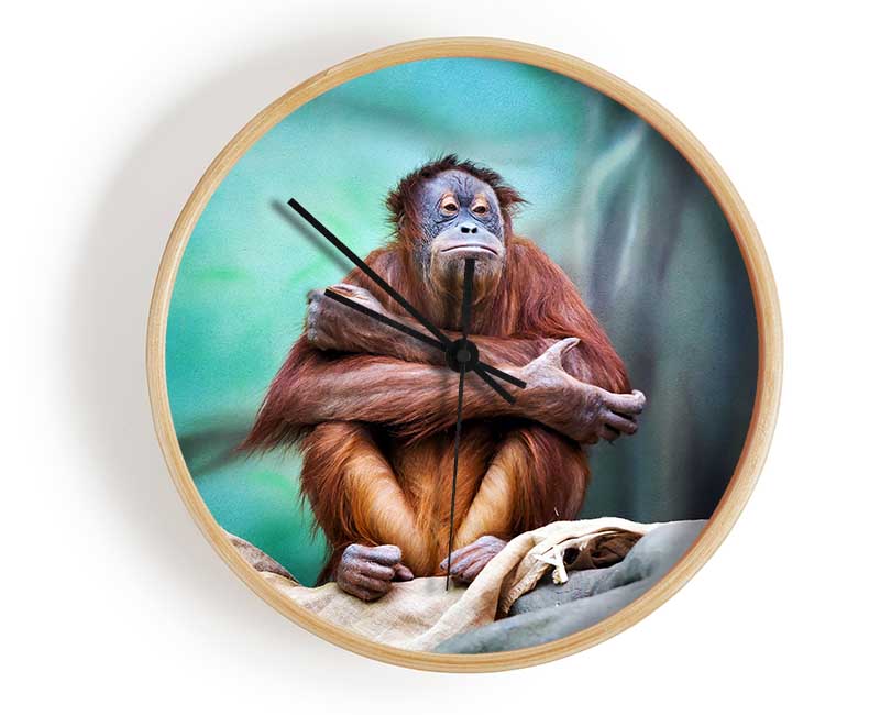 Orangutan Forest Clock - Wallart-Direct UK