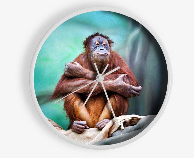 Orangutan Forest Clock - Wallart-Direct UK