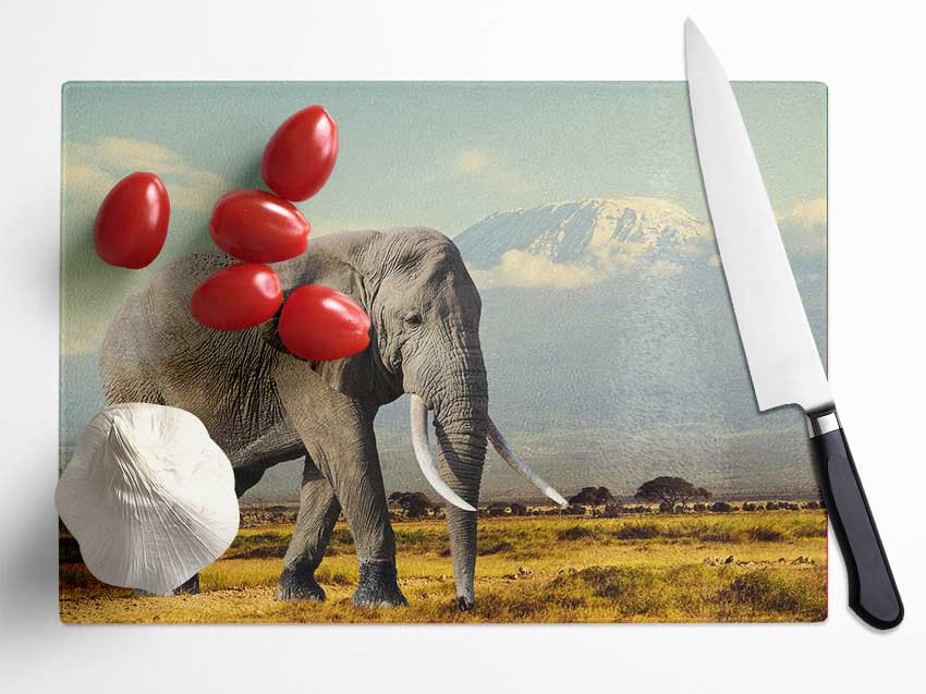 Elephant Roaming Glass Chopping Board