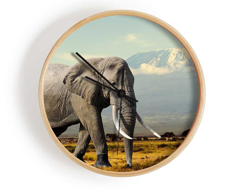 Elephant Roaming Clock - Wallart-Direct UK