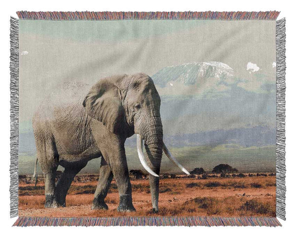 Elephant Roaming Woven Blanket