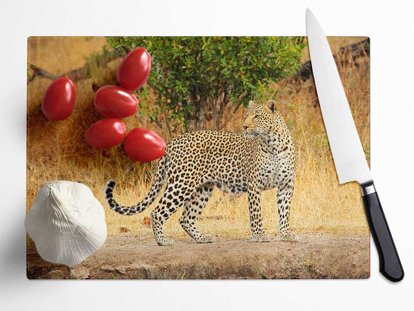 Leopard Watch Glass Chopping Board