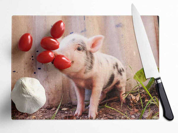 Micro Pig Glass Chopping Board