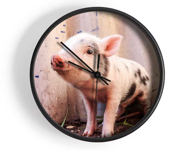 Micro Pig Clock - Wallart-Direct UK