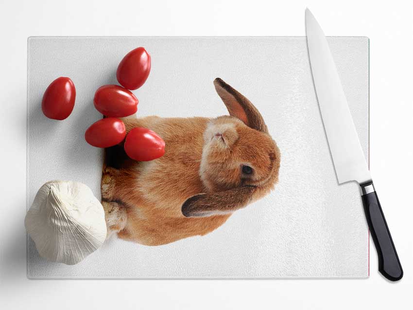 Bunny Sad Ears Glass Chopping Board