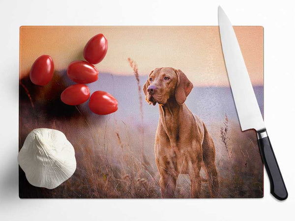 Vizsla Sunset Dog Glass Chopping Board