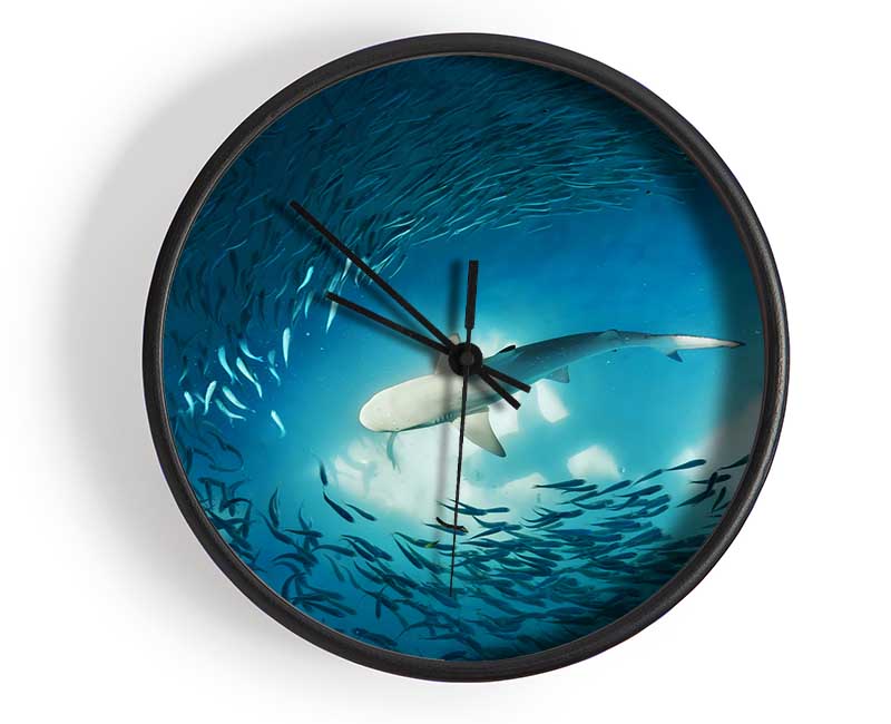 Avoiding the Shark Clock - Wallart-Direct UK