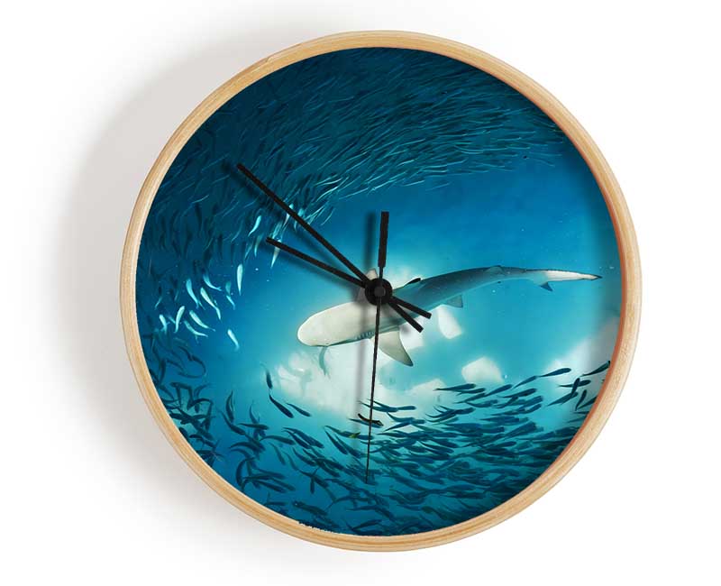 Avoiding the Shark Clock - Wallart-Direct UK