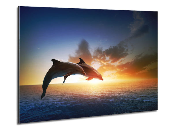 Jumping Sunset Dolphins