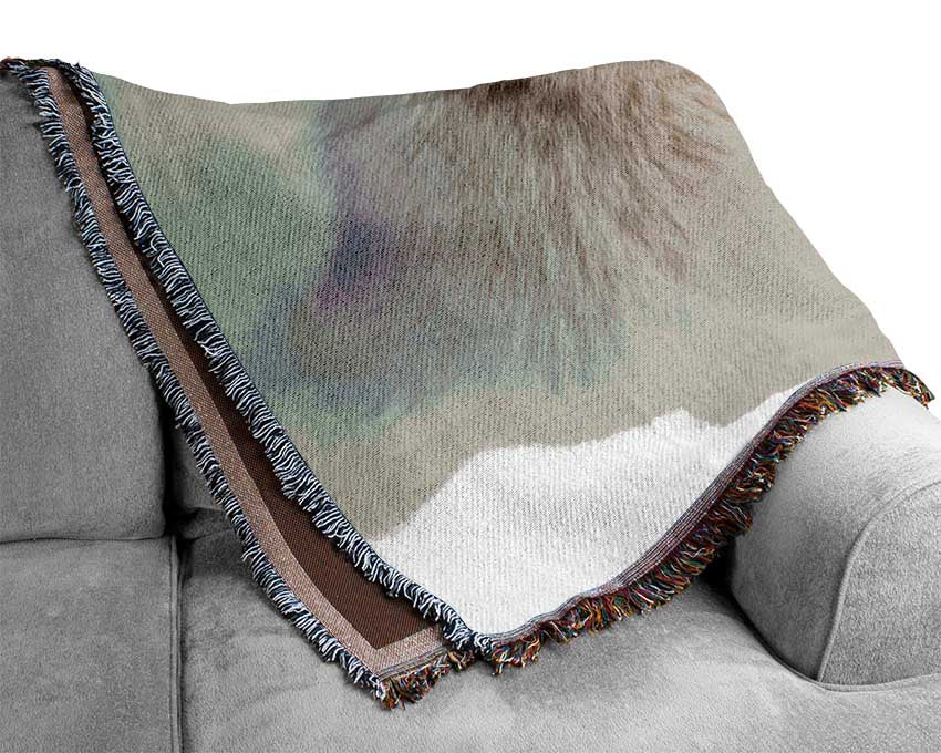 Snow Wonder Fox Woven Blanket