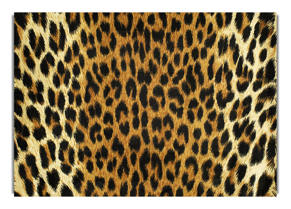 Leopard Skin