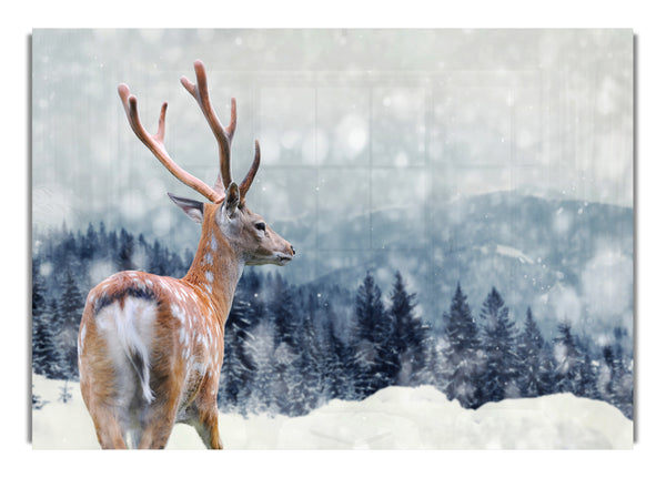 Winter Deer