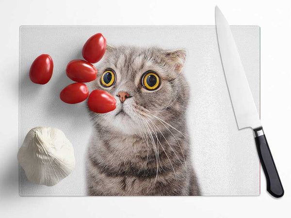 Cat Shock Glass Chopping Board