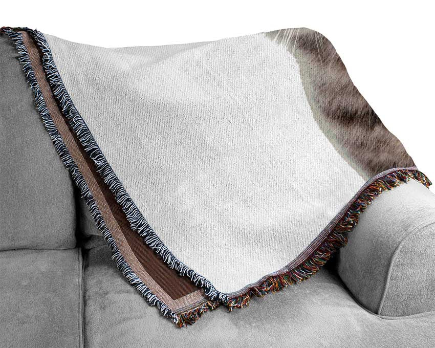 Cat Shock Woven Blanket