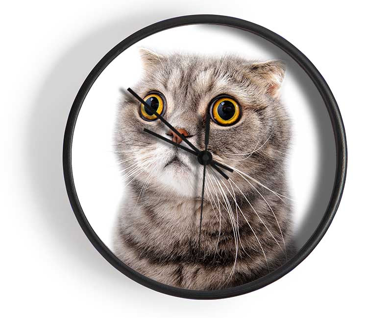 Cat Shock Clock - Wallart-Direct UK