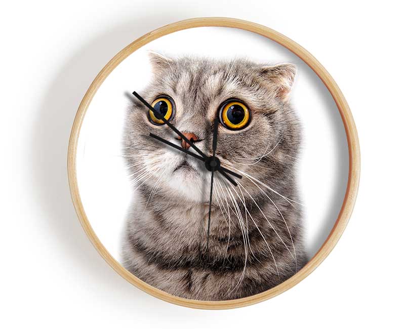 Cat Shock Clock - Wallart-Direct UK