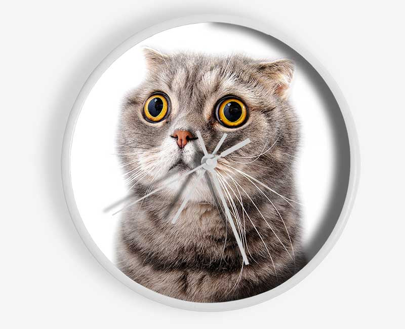 Cat Shock Clock - Wallart-Direct UK