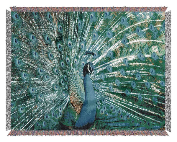 Peacock Feather Glory Woven Blanket