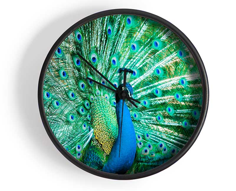 Peacock Feather Glory Clock - Wallart-Direct UK