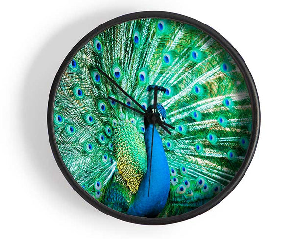 Peacock Feather Glory Clock - Wallart-Direct UK