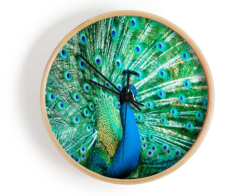 Peacock Feather Glory Clock - Wallart-Direct UK