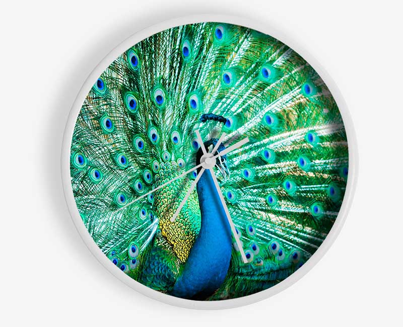 Peacock Feather Glory Clock - Wallart-Direct UK