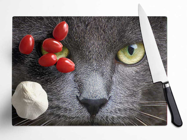 Smokey Grey Cat Glass Chopping Board