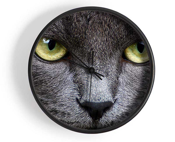 Smokey Grey Cat Clock - Wallart-Direct UK