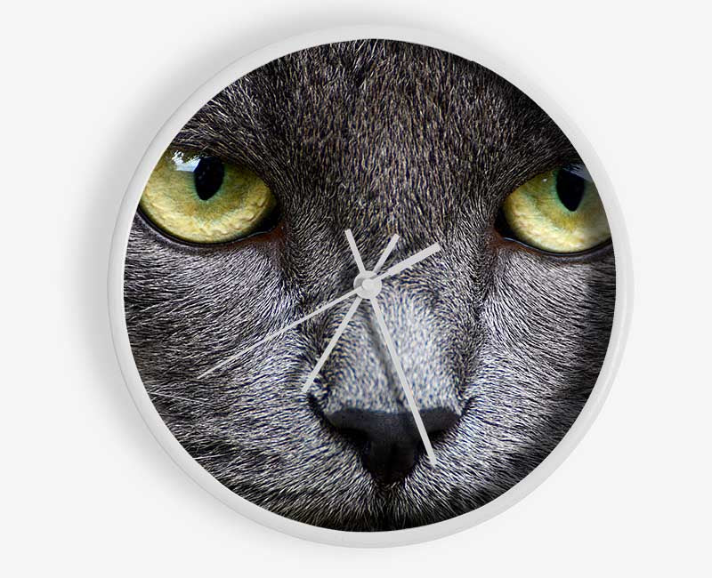 Smokey Grey Cat Clock - Wallart-Direct UK