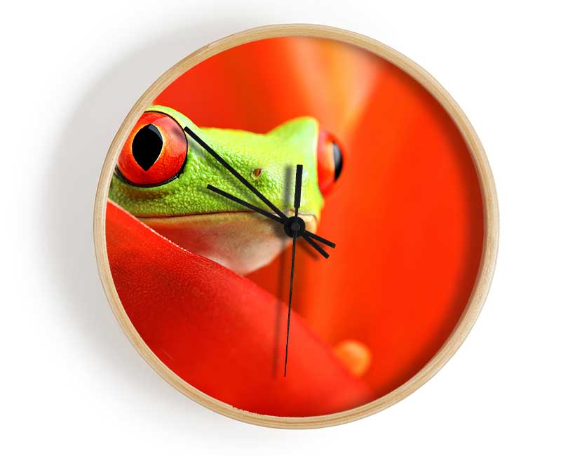 Red Leaf Frog Clock - Wallart-Direct UK