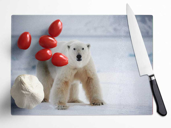 Polar Bear Snow Glass Chopping Board