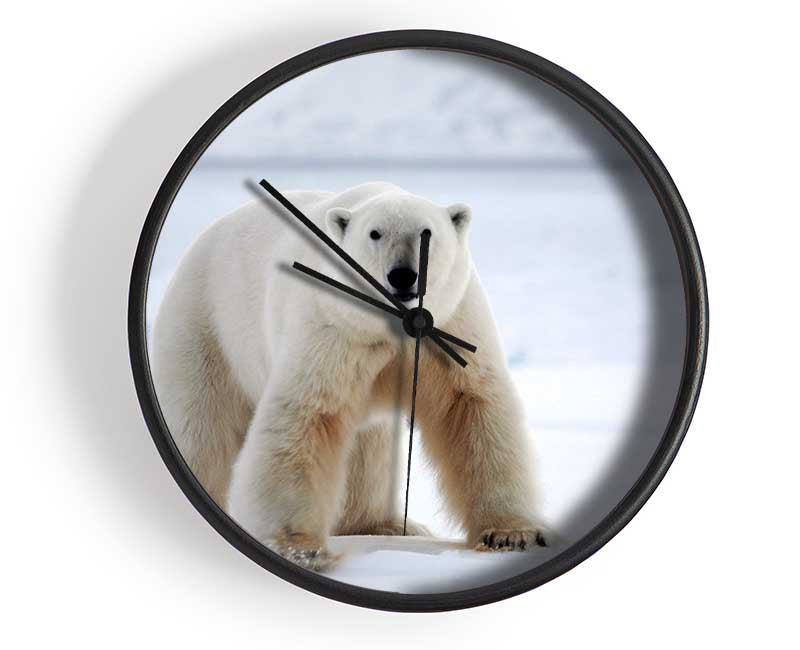 Polar Bear Snow Clock - Wallart-Direct UK