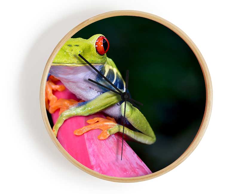 Here's Looking At You Frog Clock - Wallart-Direct UK