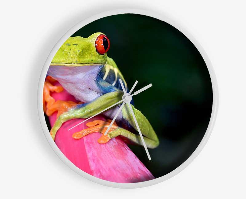 Here's Looking At You Frog Clock - Wallart-Direct UK