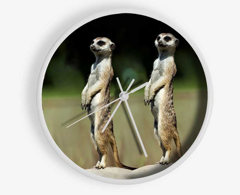 Meerkat Team Clock - Wallart-Direct UK