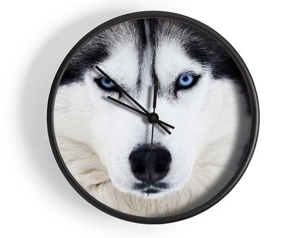 Husky Dog Snow Face Clock - Wallart-Direct UK