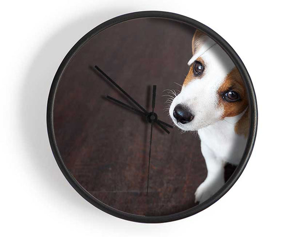 Inquisitive Dog Jack Russell Pup Clock - Wallart-Direct UK