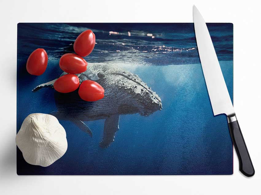 Humpback Whale Waters Glass Chopping Board