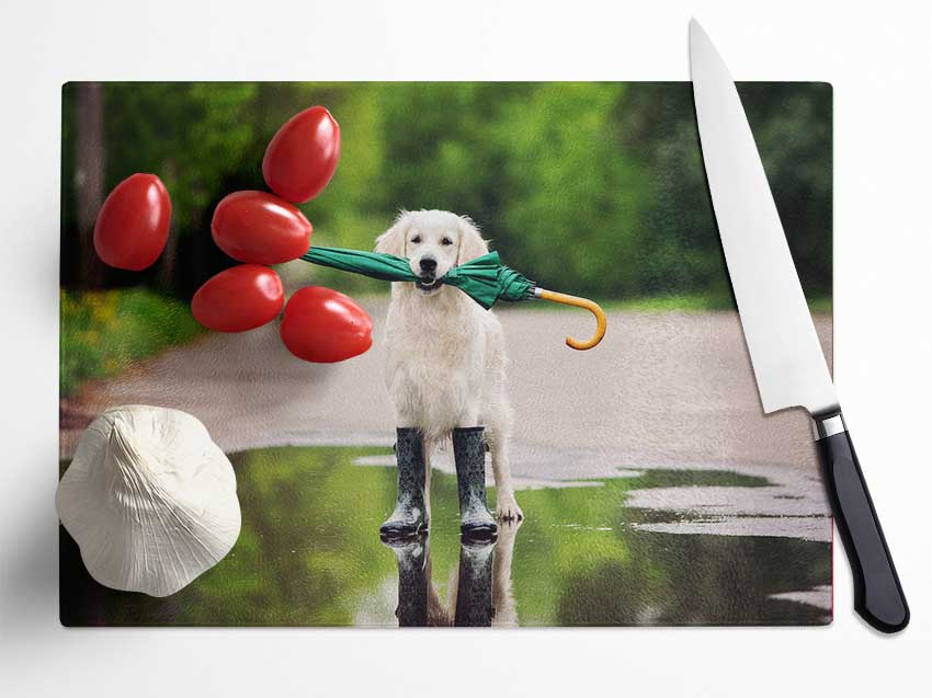 Dog Ready For A Walk In The Rain Glass Chopping Board