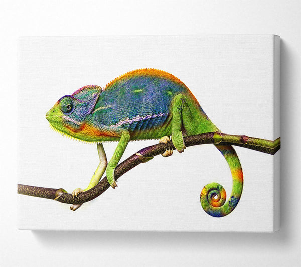 Picture of Chameleon Branch Canvas Print Wall Art