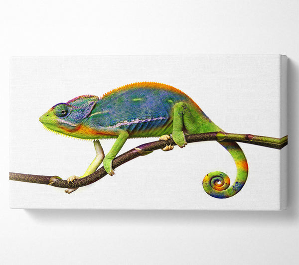 Chameleon Branch