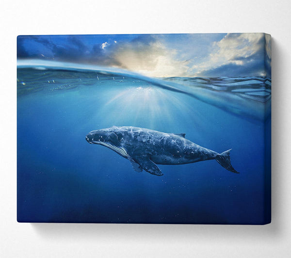 Picture of Ocean Whale Canvas Print Wall Art