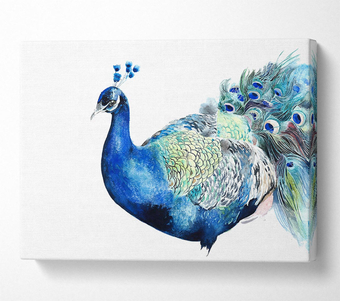 Picture of Peacock Blues Canvas Print Wall Art