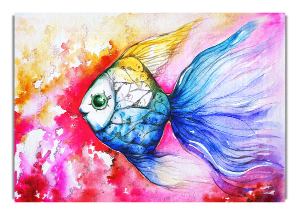 MultiColoured Fish