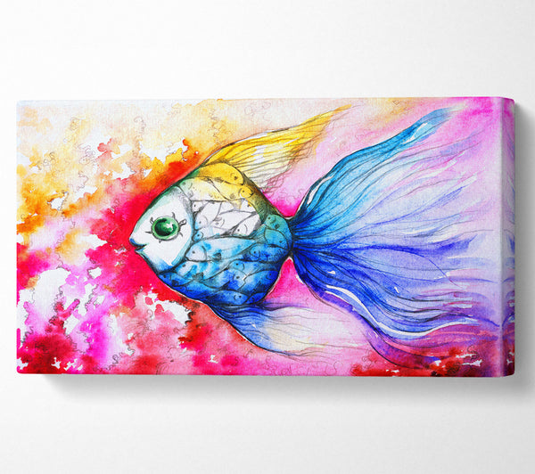 MultiColoured Fish