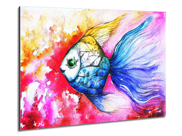 MultiColoured Fish