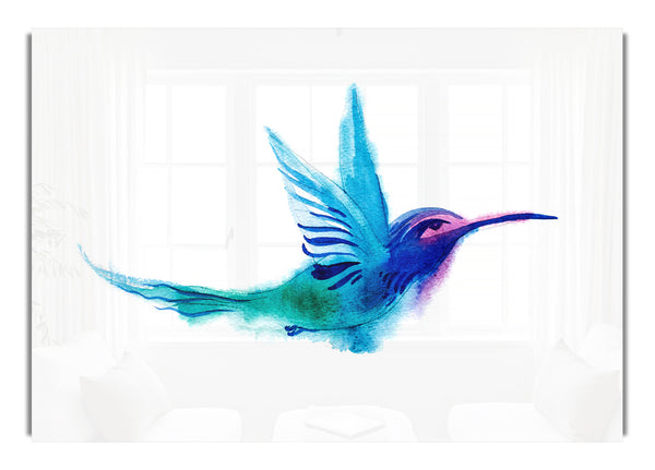 Elegant Rainbow Bird