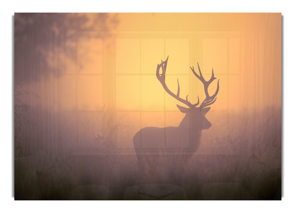 Sunset Stag