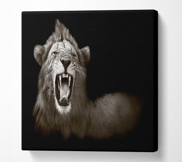 A Square Canvas Print Showing Lion Roar Square Wall Art