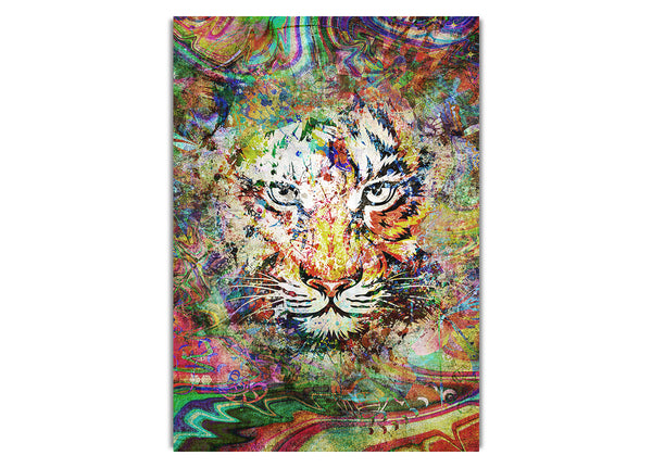 Rainbow Splash Tiger